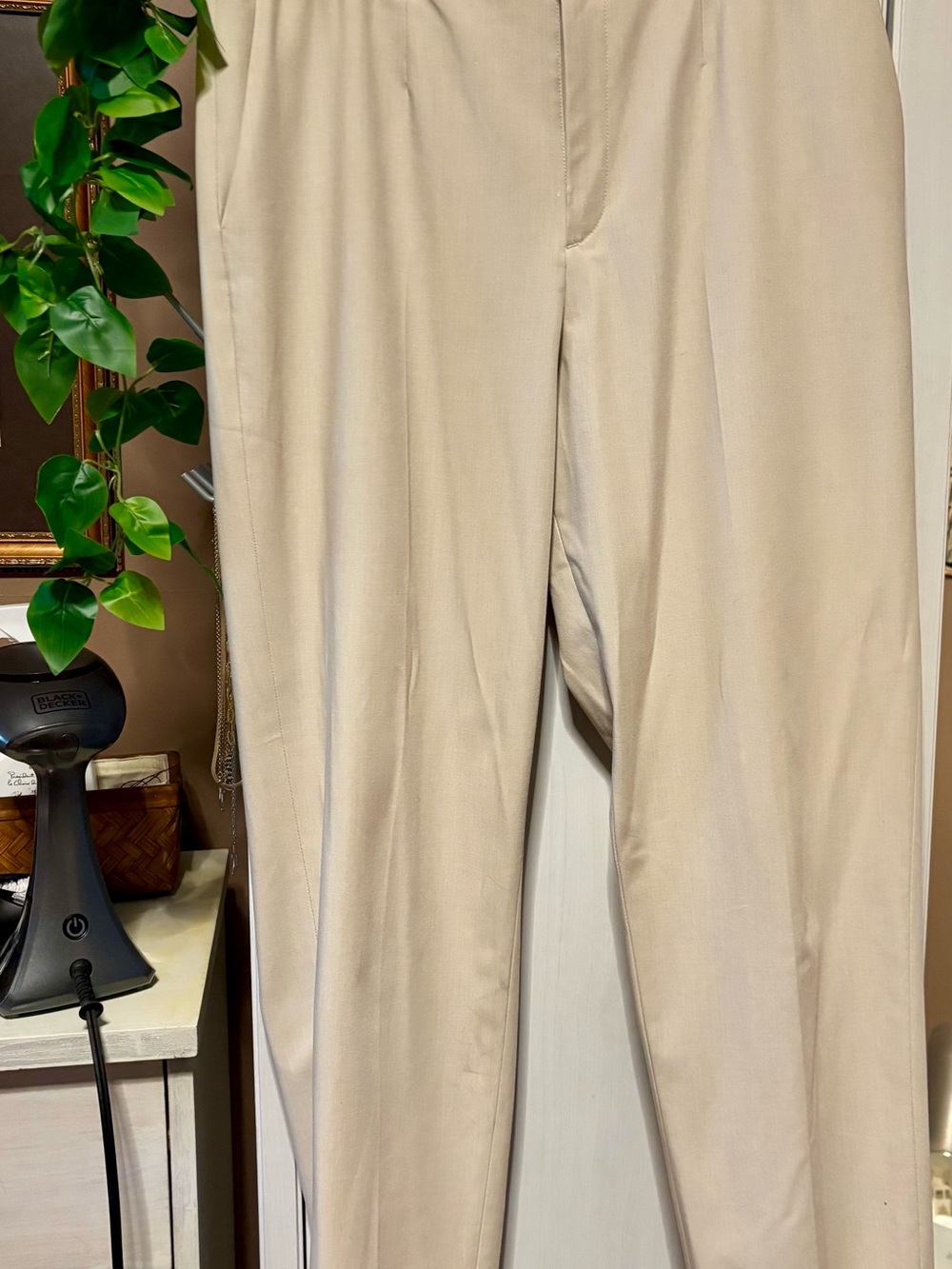 Uniqlo smart ankle pants